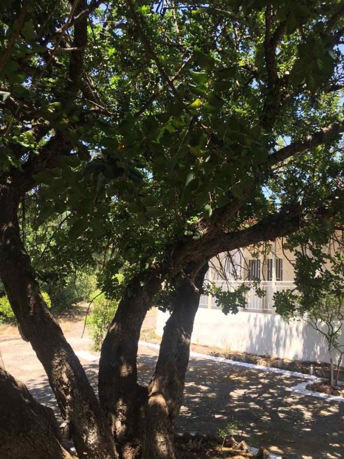 Αγρόκτημα Χελωναριά - Agroktima Chelonaria Chrani Exterior foto