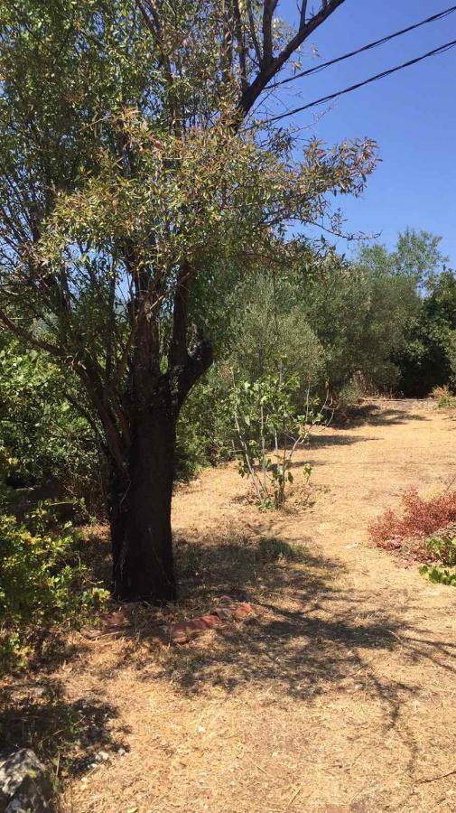 Αγρόκτημα Χελωναριά - Agroktima Chelonaria Chrani Exterior foto